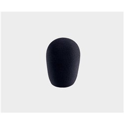 Windscreen for JS22
