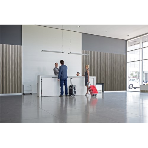 EcoScapesSlatWallGallery3