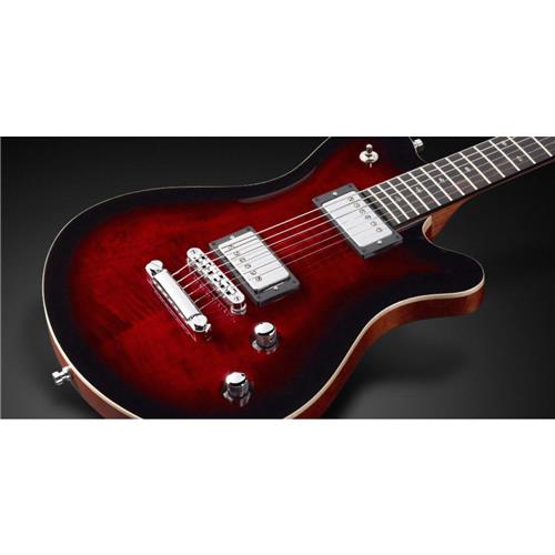 ZGPS175651PPMAHCR Panthera Pro. Mahogany Body Burgundy Blackburst Trans.