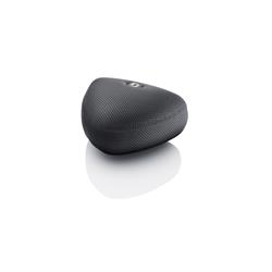 DPA d:mension™ 5100 Mobile 5.1 Surround Mic