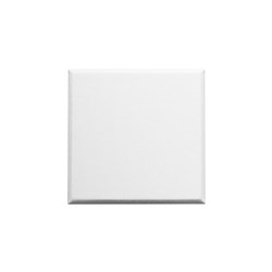 RA-PT-2424-SQ2