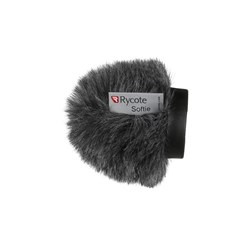 RR-RYC033013