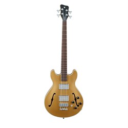 Warwick RockBass Star Bass, 4-String, Metallic Gold High Polish 